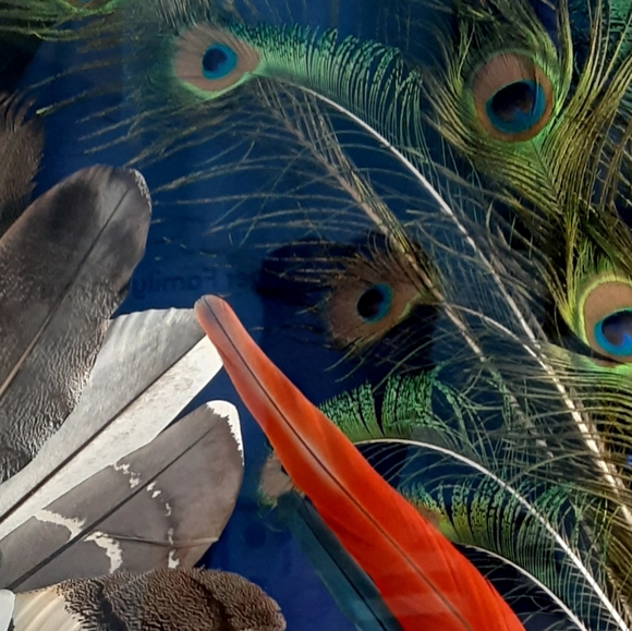 Girls and Womens clothes and shoes just for you. - Picture 1 of 4